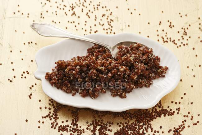 Cozinhado quinoa vermelha com colher em prato branco e quinoa crua espalhados ao redor — Fotografia de Stock