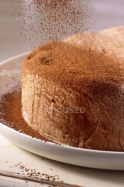 Cake being dusted with cocoa powder — Stock Photo