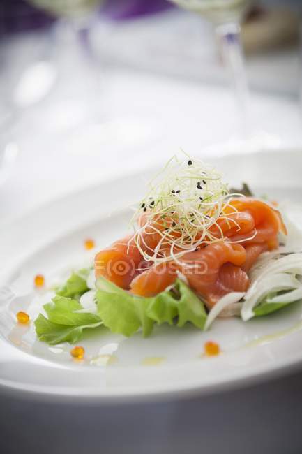 Копченый лосось на салате — стоковое фото