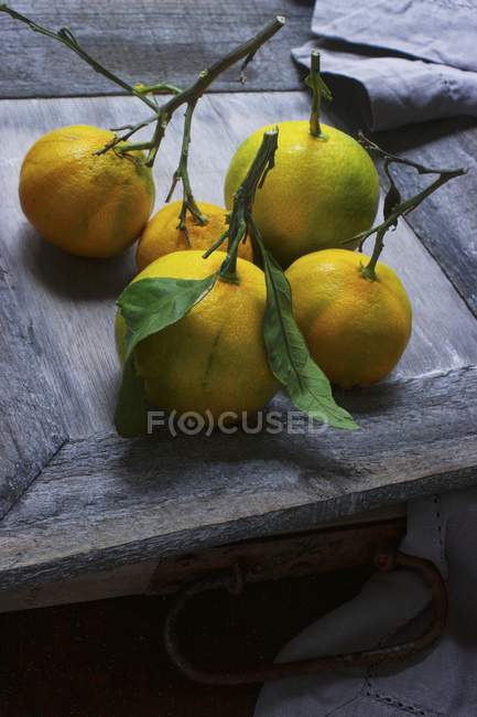 Mandarines à feuilles sur branches — Photo de stock