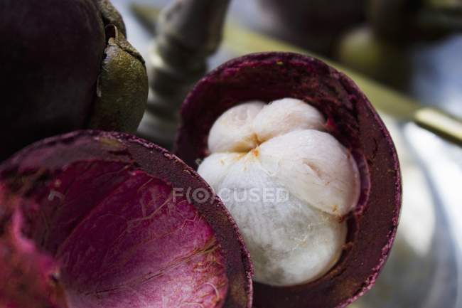 Свежий мангостин — стоковое фото