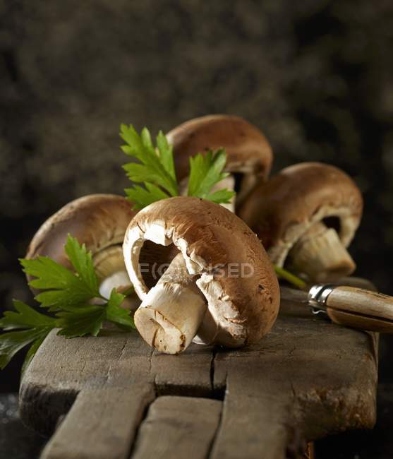 Brown mushrooms with flat-leaf parsley — Stock Photo
