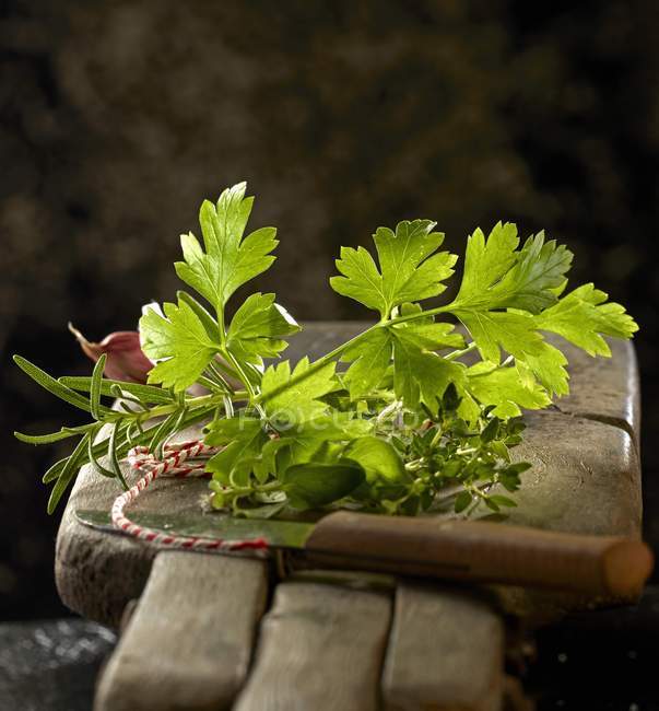 Fresh parsley and rosemary — Stock Photo