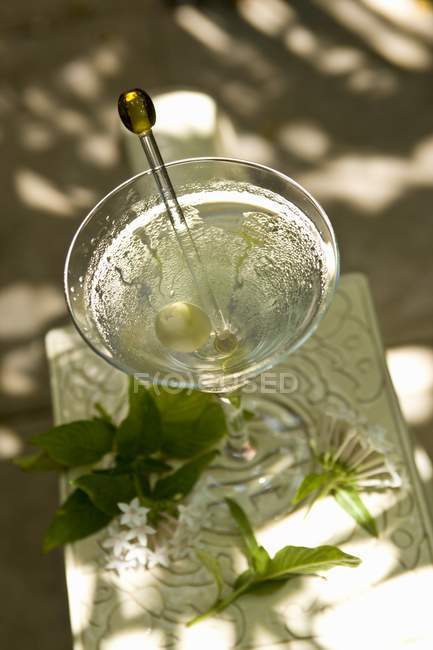 Gin martini em vidro e na mesa — Fotografia de Stock