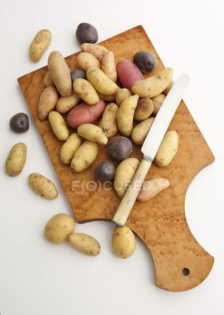 Разнообразие мелкого картофеля — стоковое фото