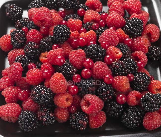 Raspberries with blackberries and redcurrants — Stock Photo