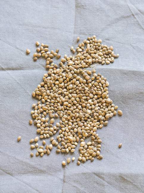 Hemp seeds over textile — Stock Photo
