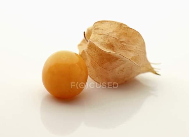 Closeup view of one cape gooseberries on white background — Stock Photo