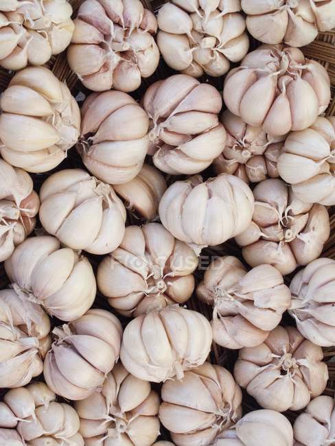 Fresh Garlic bulbs — Stock Photo