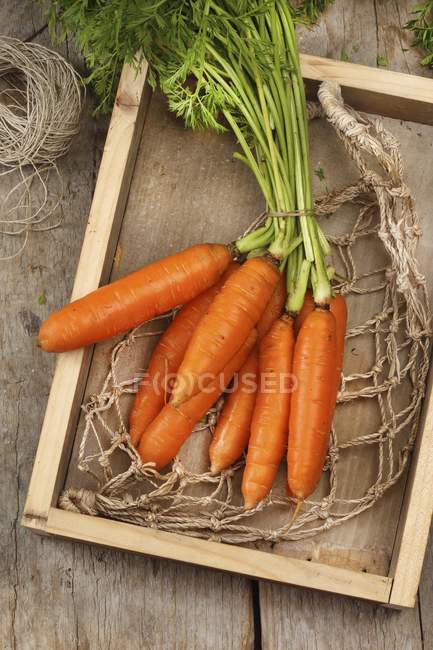 Cenouras em caixa de madeira — Fotografia de Stock