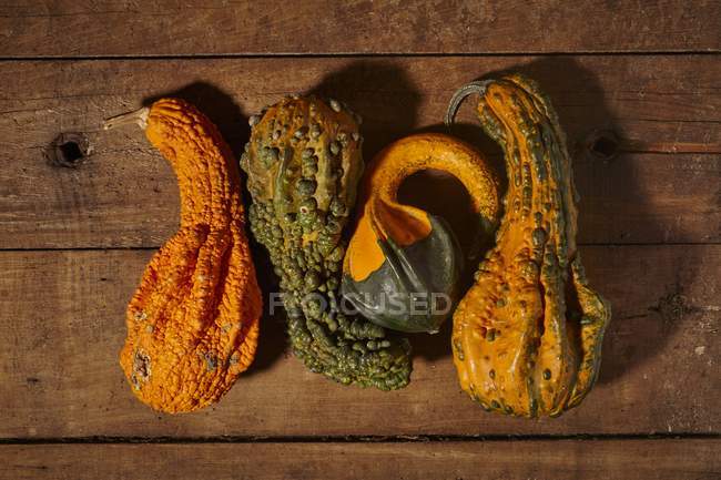 Decorative gourds laying in row on wooden surface — Stock Photo