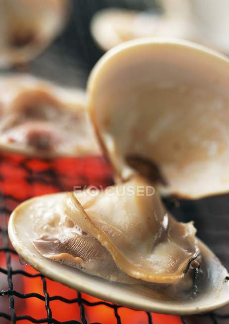 Крупный план жареного открытого моллюска — стоковое фото