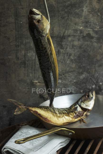 Smoked mackerel fish hanging on hook and in copper pan — Stock Photo
