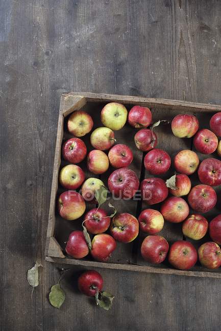 Червоні яблука в ящику — стокове фото