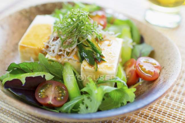 Салат тофу с овощами — стоковое фото