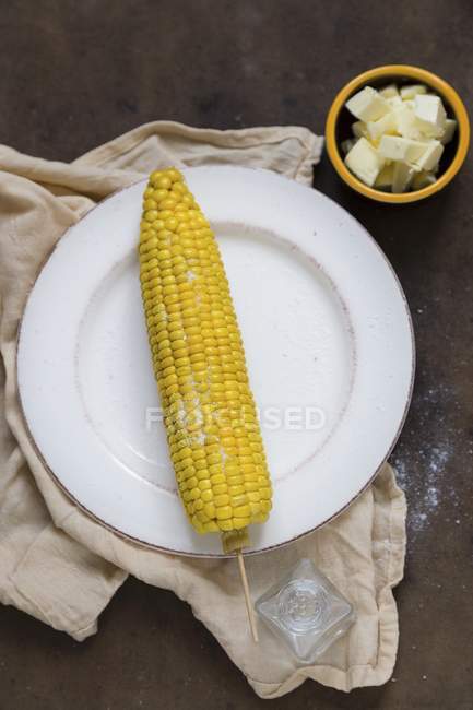 Cooked corn cob — Stock Photo