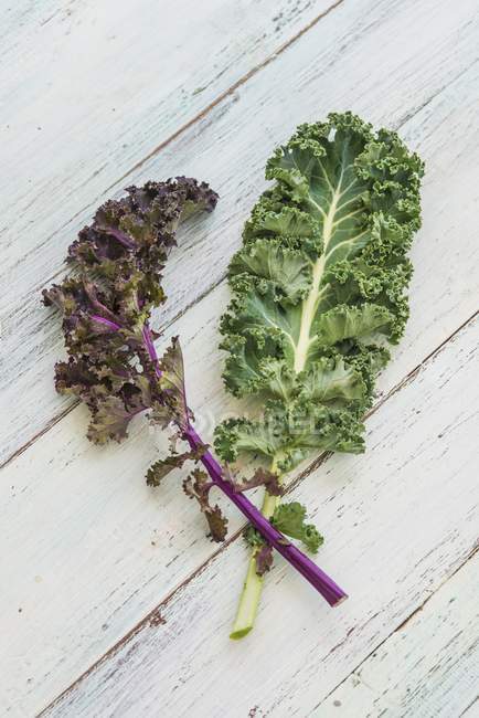 Green and purple Kale leaves — Stock Photo
