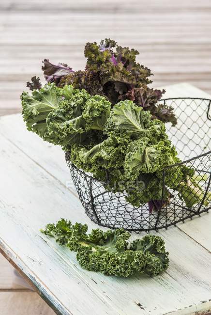 Green and purple Kale in metal basket — Stock Photo