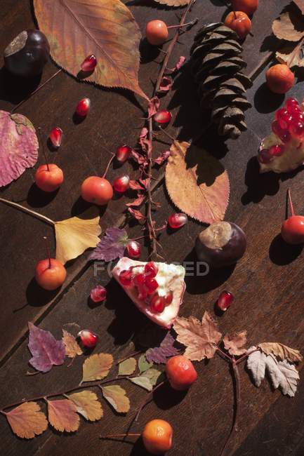 Autumnal arrangement with leaves — Stock Photo