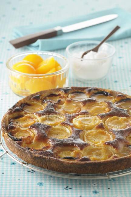 Normandy apricot tart — Stock Photo
