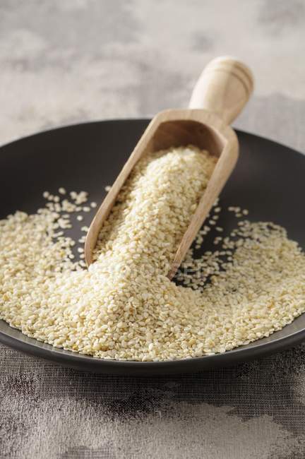 Plate of sesame seeds — Stock Photo