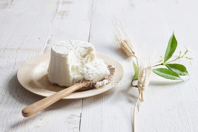 Ricotta on plate with spoon — Stock Photo