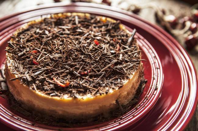 Cheesecake invernale con peperoncino — Foto stock