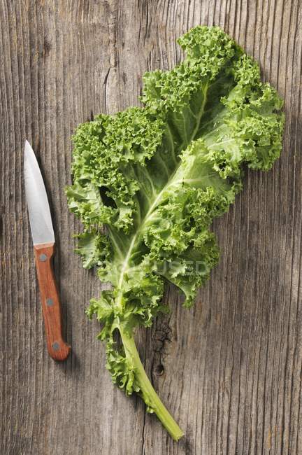 Fresh kale leaf with knife — Stock Photo