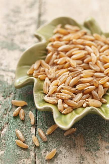 Kamut seeds in dish — Stock Photo