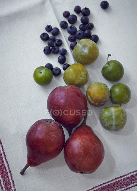 Pears with greengages and blueberries — Stock Photo