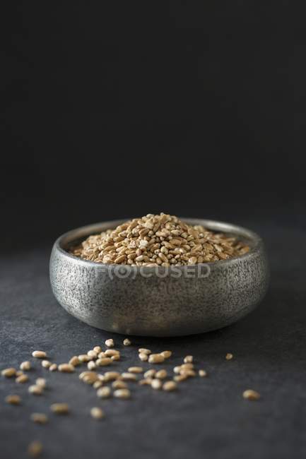 Bowl of spelt seeds — Stock Photo