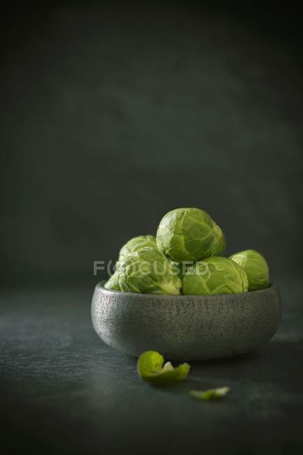 Brussels sprouts in dish — Stock Photo