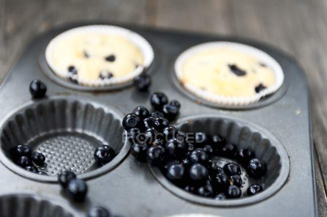 Muffins de mirtilo em lata de muffin — Fotografia de Stock