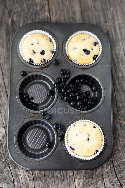 Blueberry muffins in muffin tin — Stock Photo