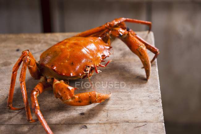 Nahaufnahme einer orangen Krabbe auf einem Holztisch — Stockfoto