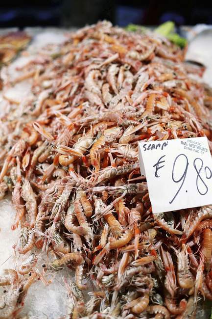 Elevated view of scampi heap with price tag — Stock Photo