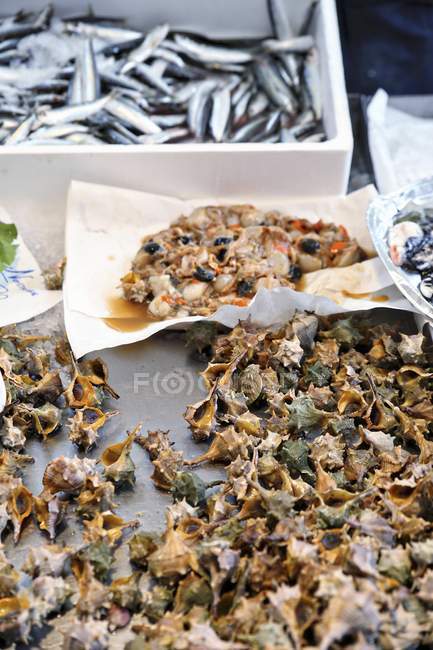 Vista de cerca de los caracoles espinosos tinte-murex con vieiras y sardinas - foto de stock