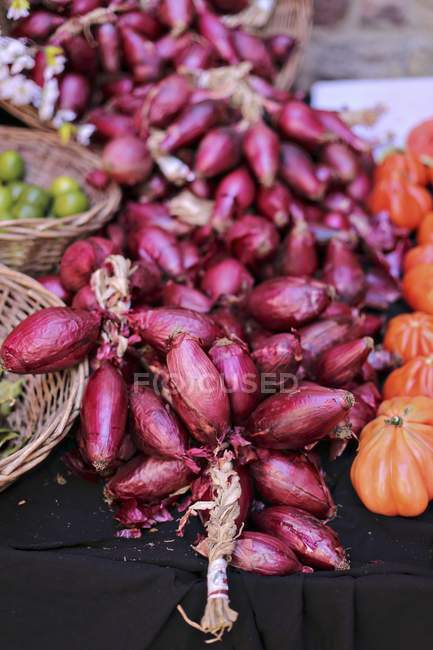 Plait of red onions — Stock Photo
