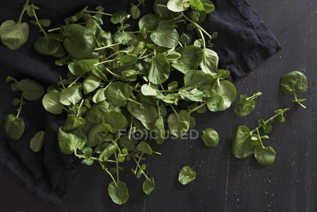 HerbsFresh agrião verde — Fotografia de Stock