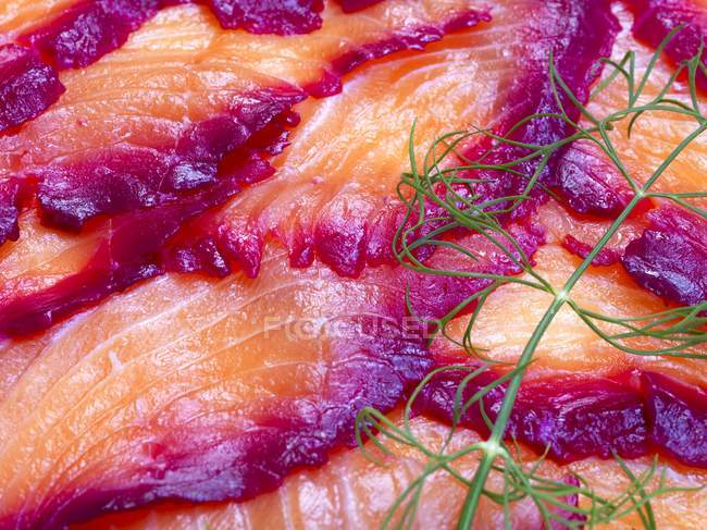 Sliced Norwegian graved lax with sprigs of dill — Stock Photo