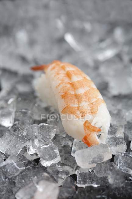 Nigiri sushi with prawn — Stock Photo
