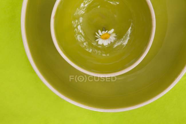 Closeup top view of a daisy on a green ceramic bowls — Stock Photo