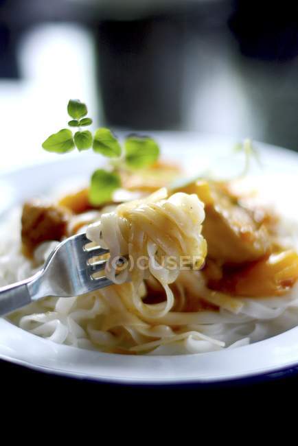 Rice noodles with chicken and peppers — Stock Photo