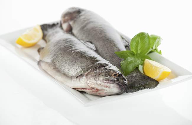 Fresh trout with lemon wedges — Stock Photo