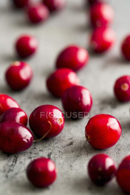 Canneberges rouges fraîches — Photo de stock