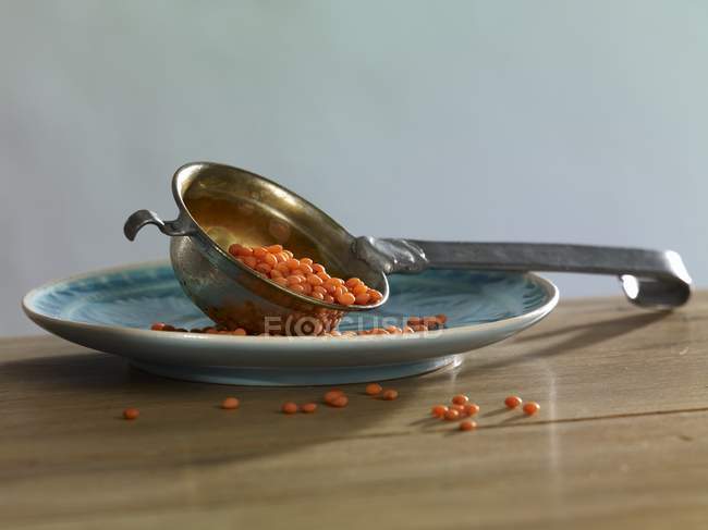 Vista de cerca de las lentejas rojas en un cucharón en un plato - foto de stock