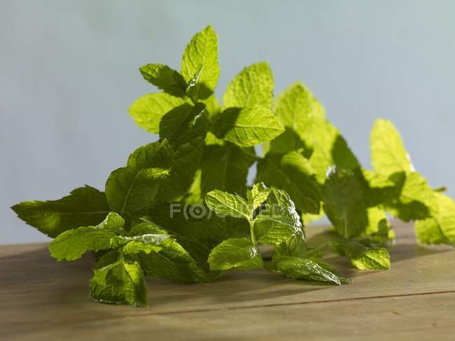 Fresh mint sprigs — Stock Photo