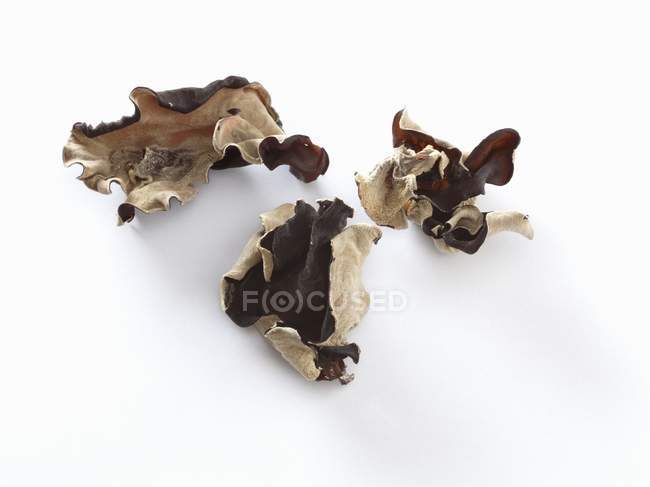 Сушеные желейные ушные грибы — стоковое фото