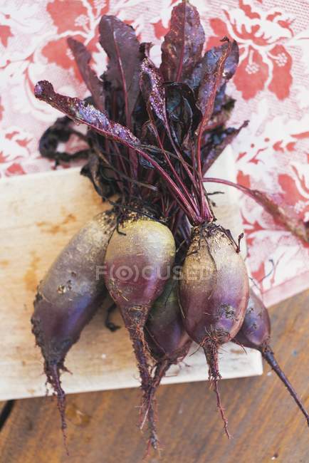 Fresh picked beetroot — Stock Photo