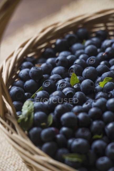Fresh blueberries in basket — Stock Photo